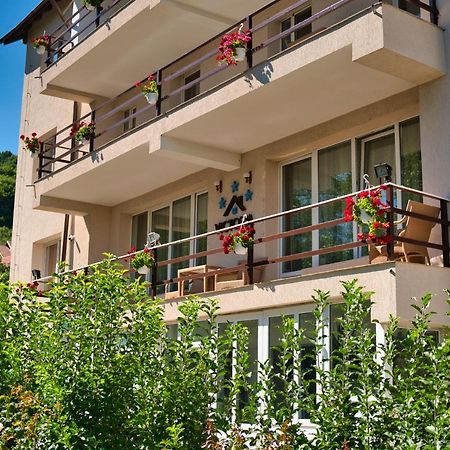 Vila Victoria Râmnicu Vâlcea Eksteriør billede