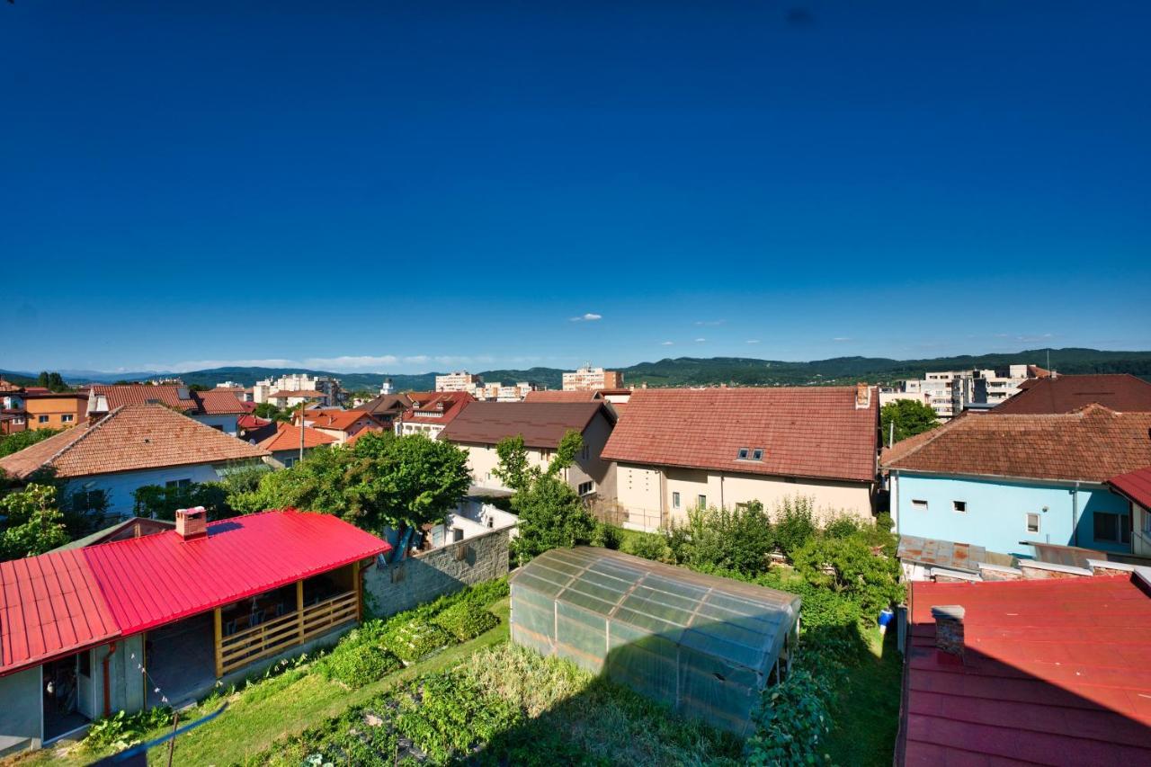 Vila Victoria Râmnicu Vâlcea Eksteriør billede
