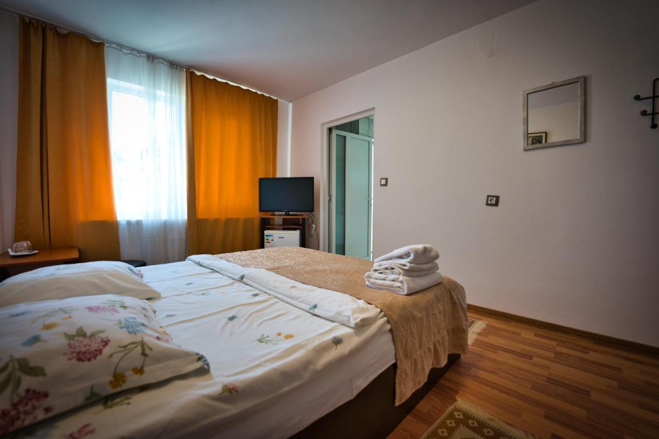 Vila Victoria Râmnicu Vâlcea Eksteriør billede