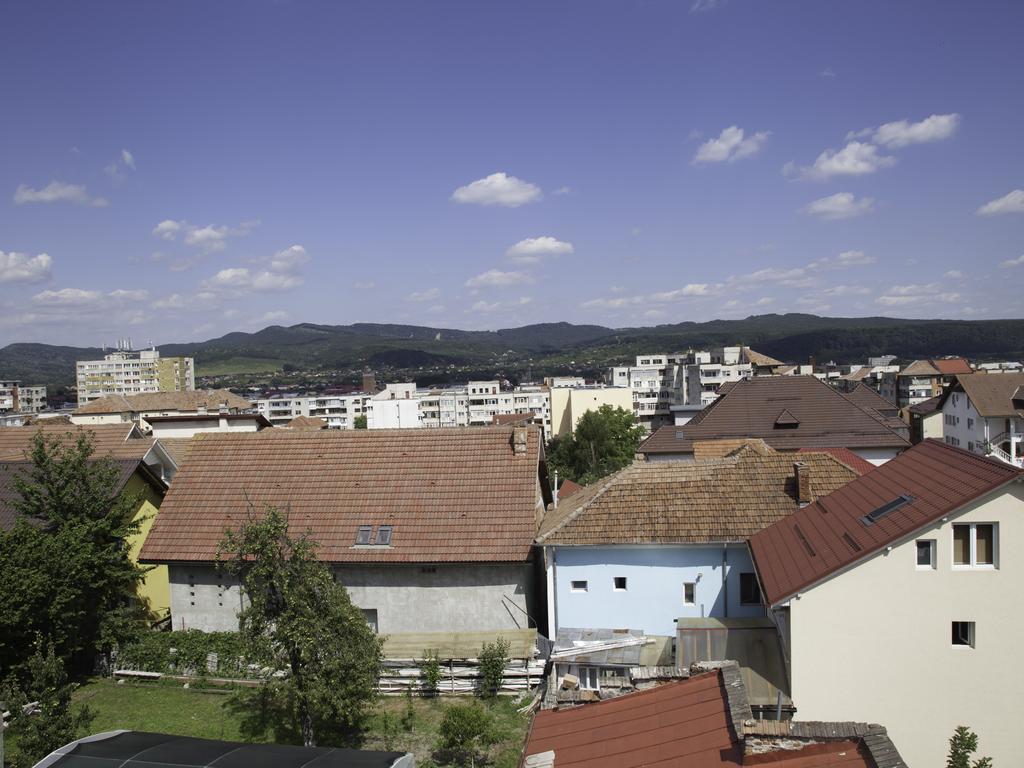 Vila Victoria Râmnicu Vâlcea Eksteriør billede