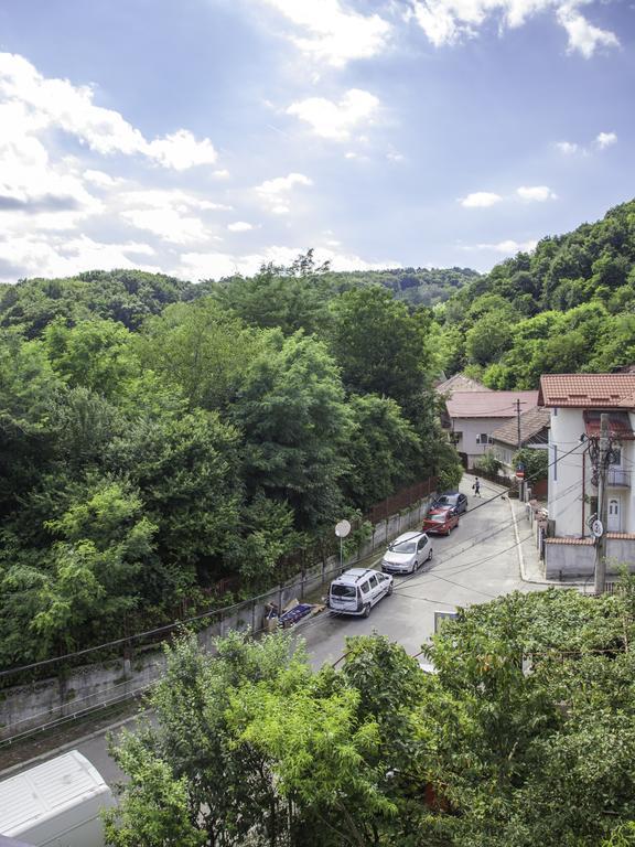 Vila Victoria Râmnicu Vâlcea Eksteriør billede